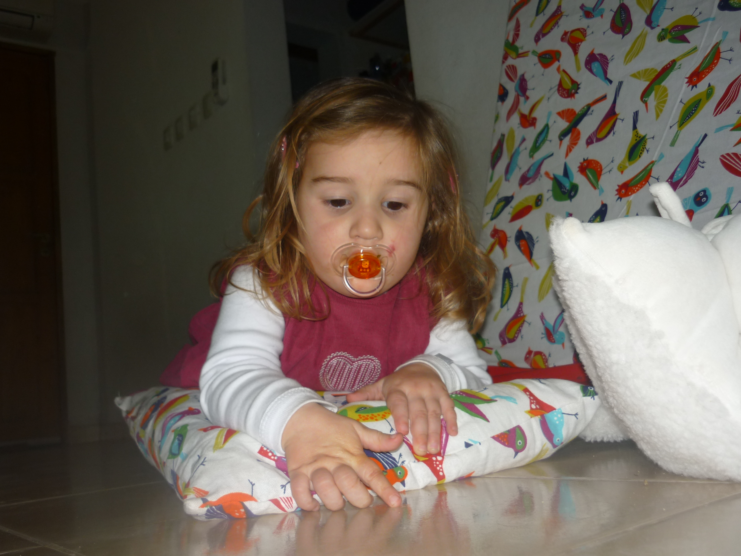 fotos/2012-06-11 - Cumple Nestor Iara/P1020753.JPG